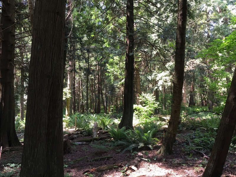 Point Roberts Real Estate